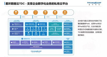 星环科技研发总监刘汪根 从架构视角看企业数字化基础设施建设